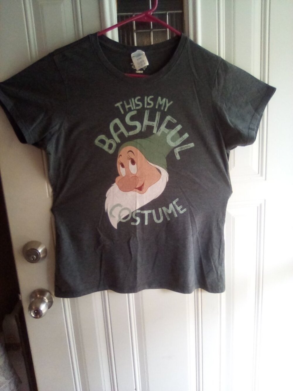 Disney Snow White "This Is My Bashful Costume" Graphic Tee Size large get